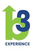 B3 Experience Logo